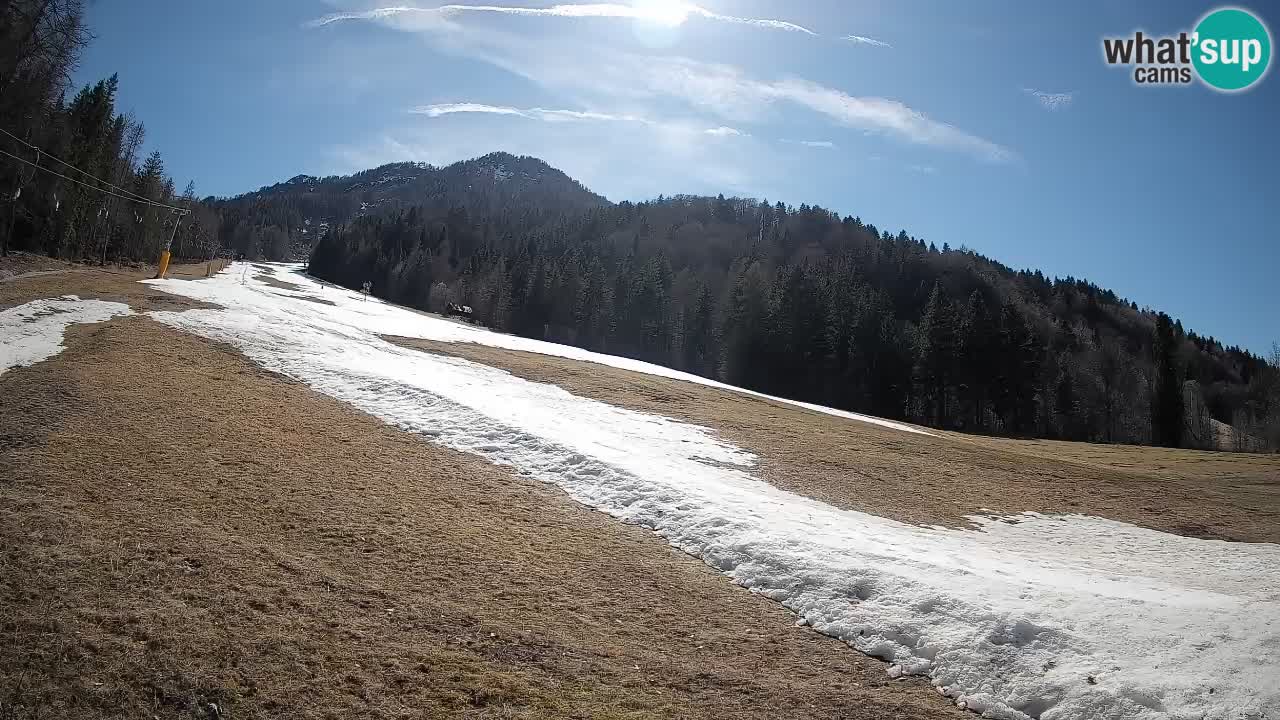 Kranjska Gora SKIJANJE | Brsnina