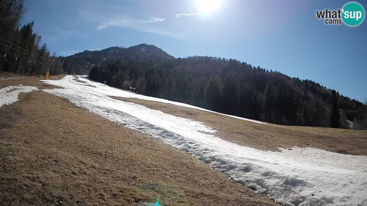 Kranjska Gora SKIJANJE | Brsnina