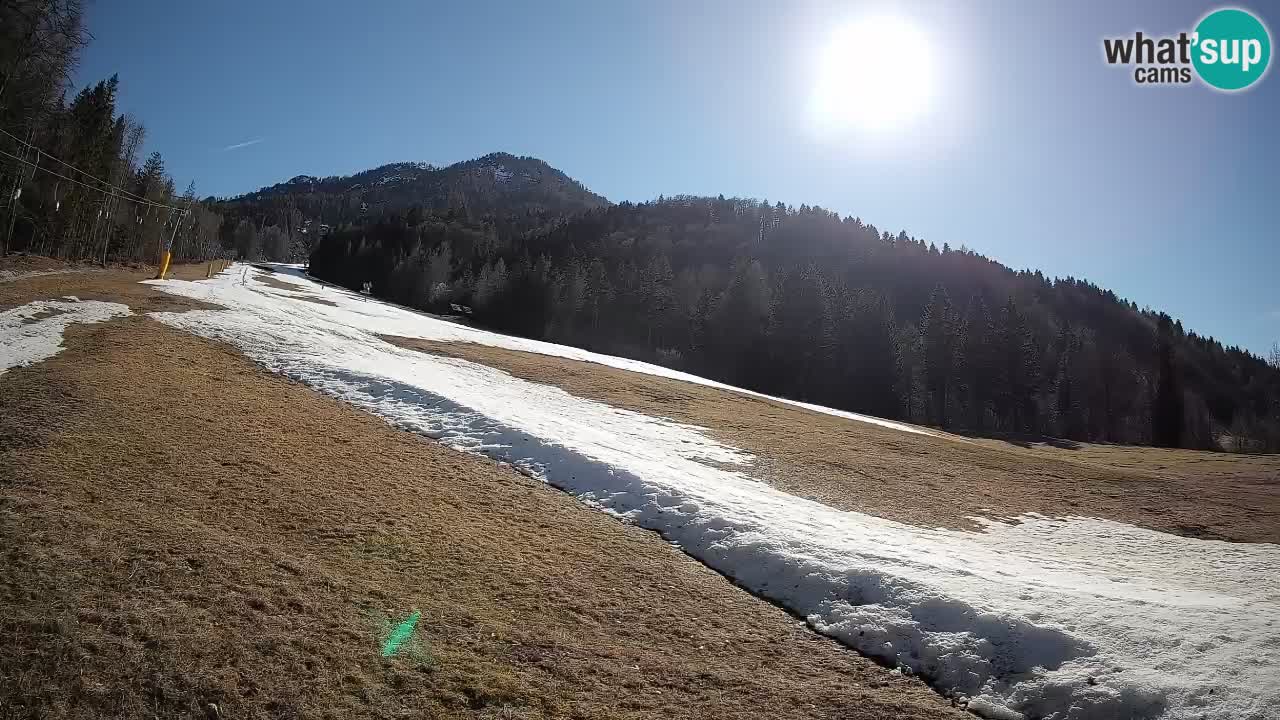 Esquí Kranjska Gora | Brsnina