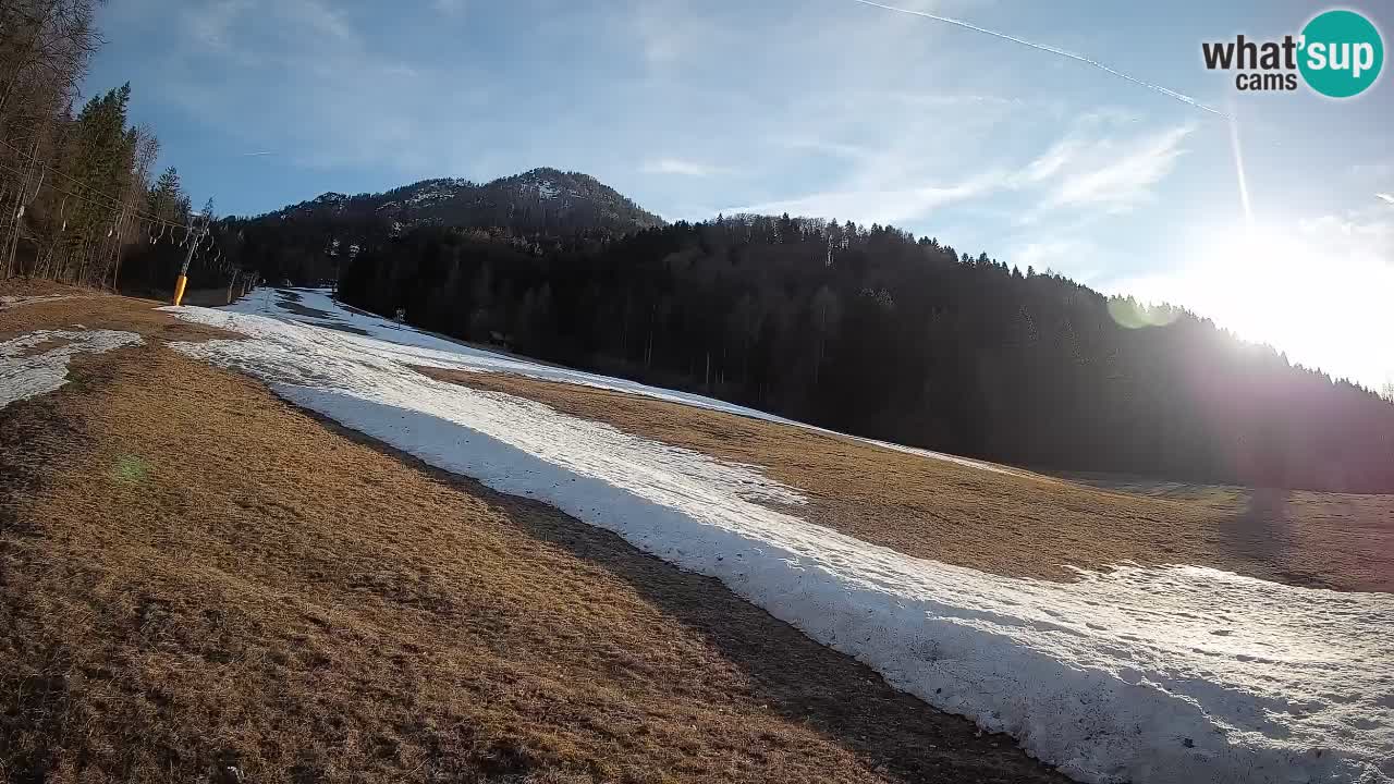 Esquí Kranjska Gora | Brsnina