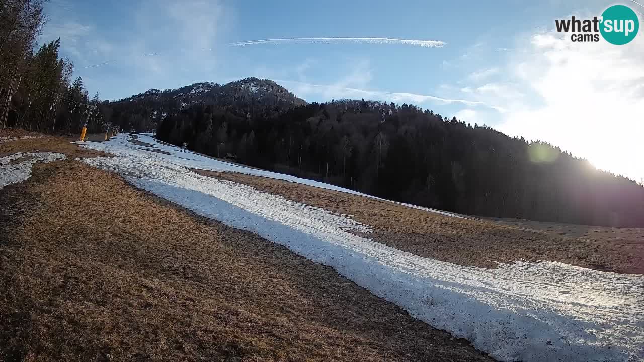 Ski Kranjska Gora | Brsnina