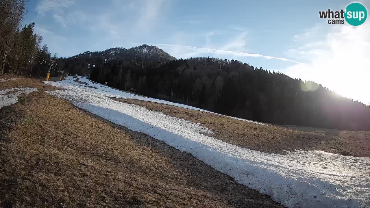 RTC Kranjska Gora | Brsnina