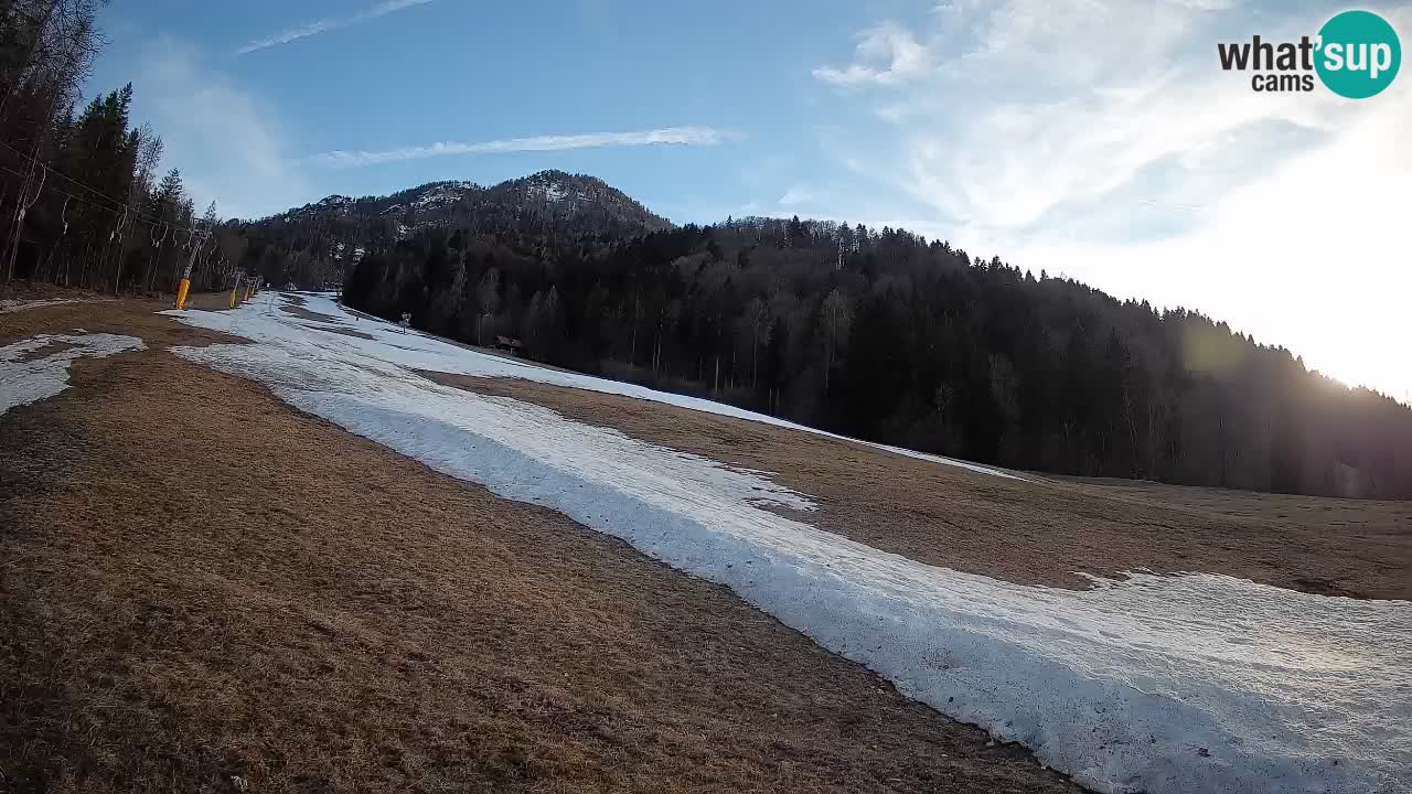 Ski Kranjska Gora | Brsnina