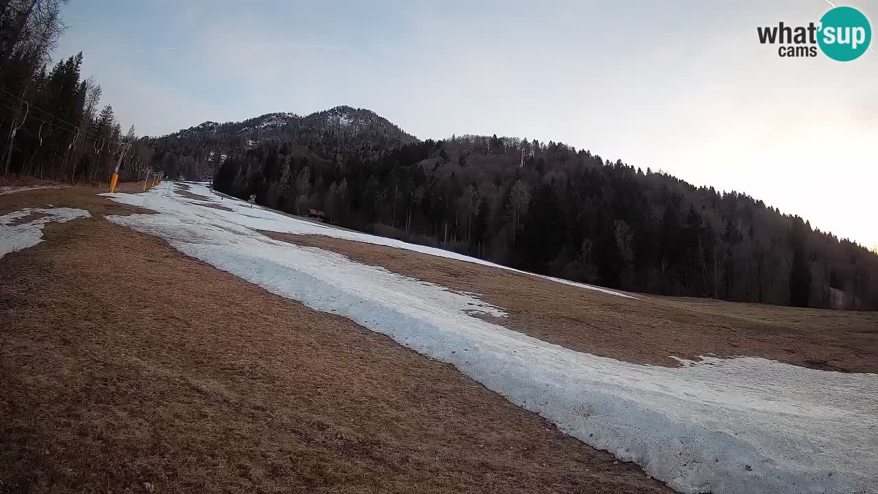 Comprensorio sciistico Kranjska Gora | Brsnina