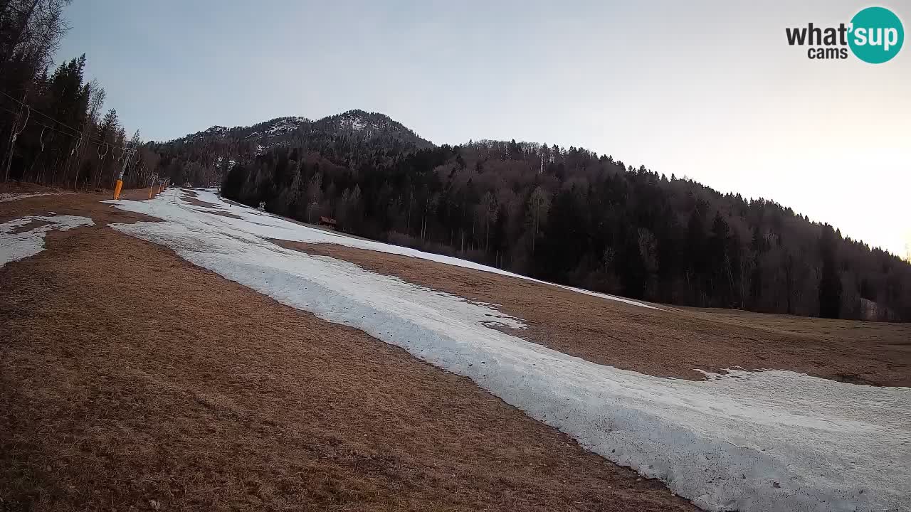 Esquí Kranjska Gora | Brsnina