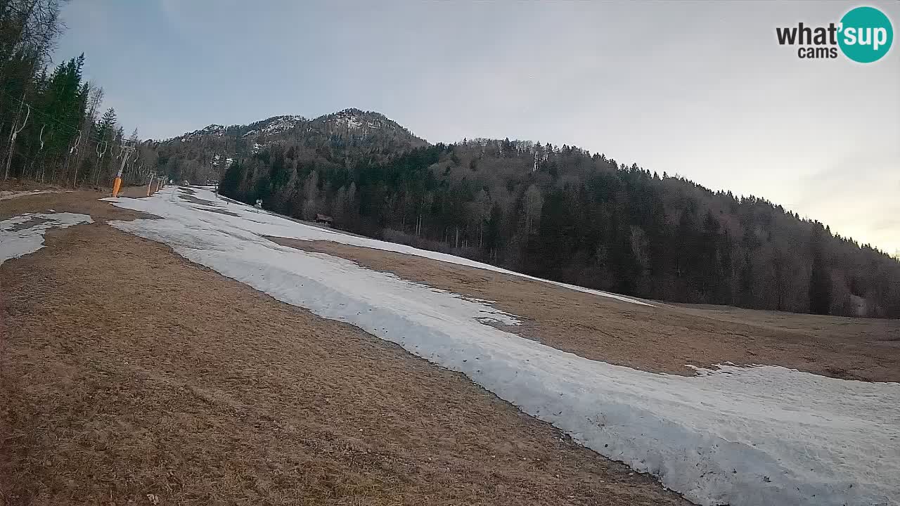 Kranjska Gora Station de ski | Brsnina