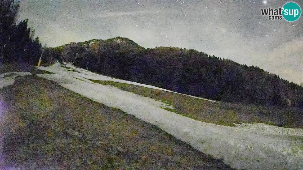 Kranjska Gora Station de ski | Brsnina