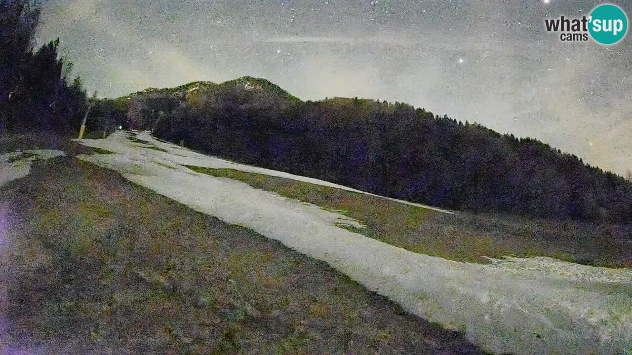 RTC Kranjska Gora | Brsnina