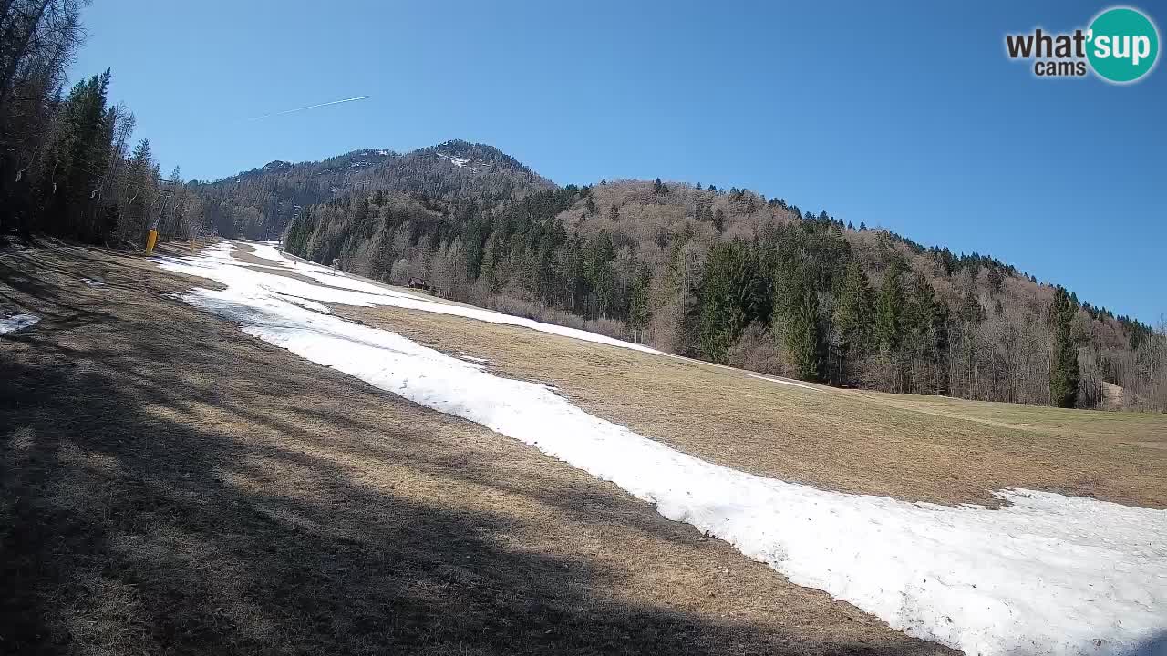 Ski Kranjska Gora | Brsnina