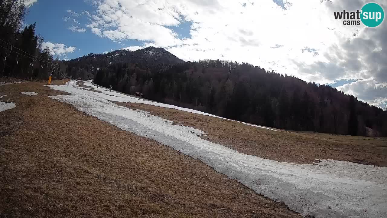 RTC Kranjska Gora | Brsnina