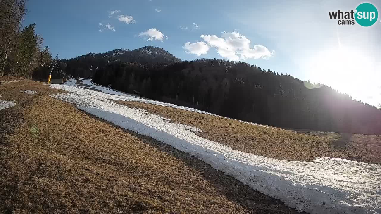 Kranjska Gora SKIJANJE | Brsnina