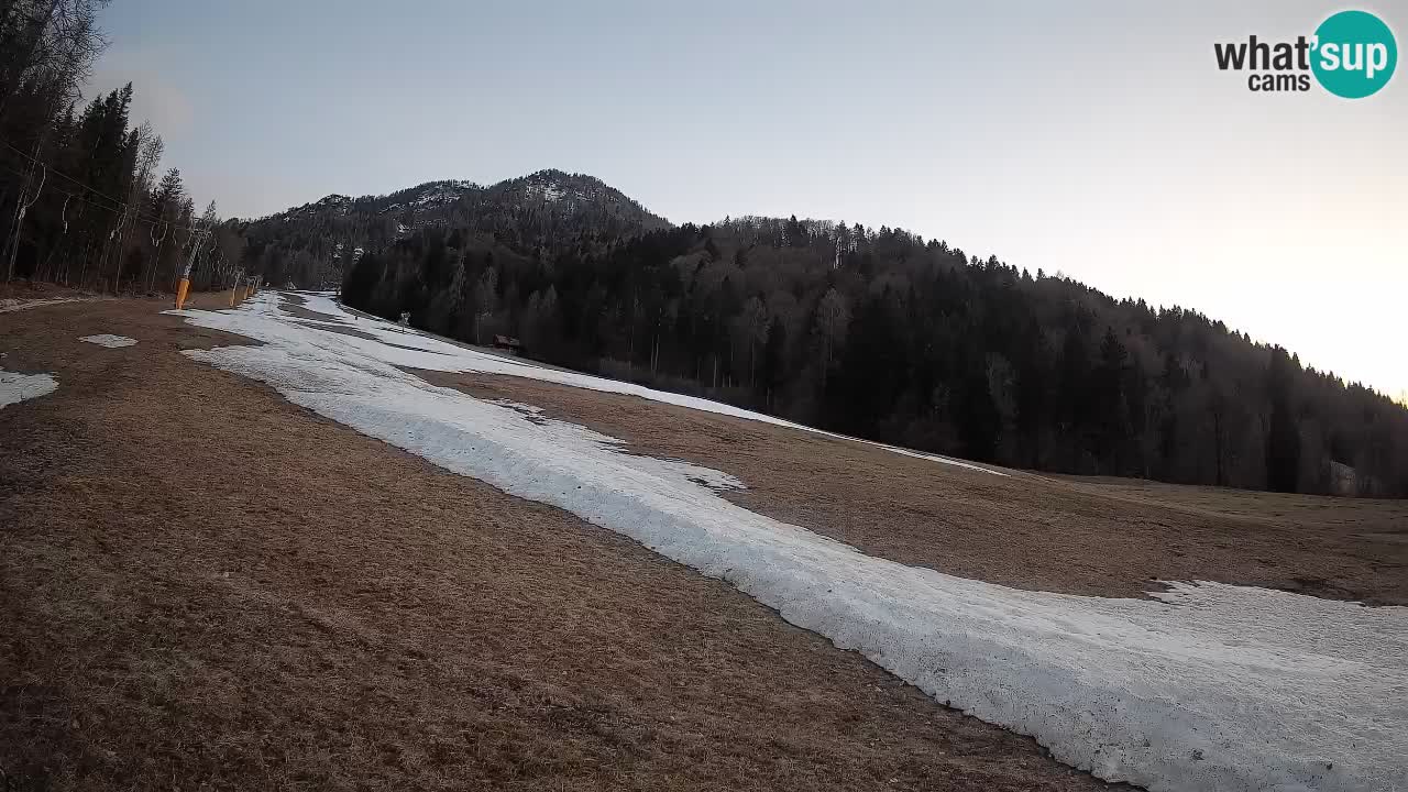 Kranjska Gora Station de ski | Brsnina