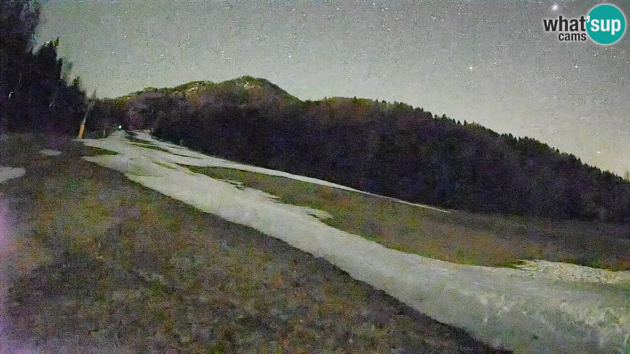 Esquí Kranjska Gora | Brsnina