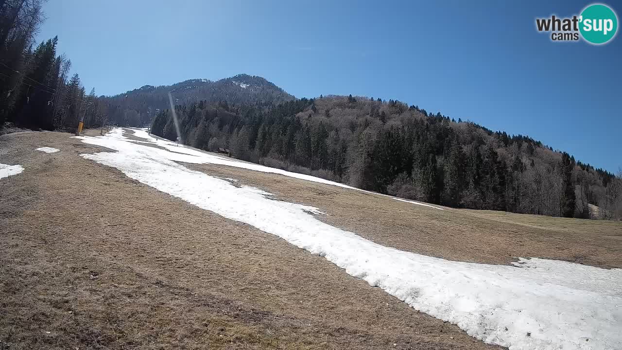 Kranjska Gora SKIJANJE | Brsnina