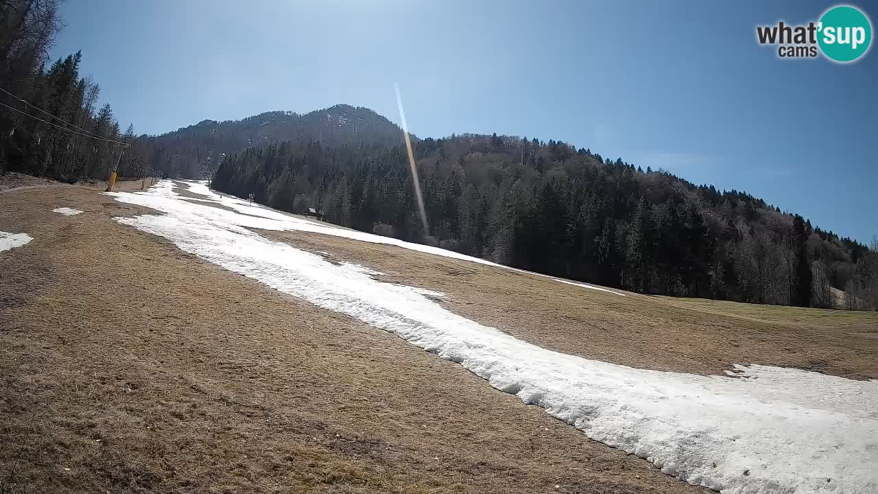 Comprensorio sciistico Kranjska Gora | Brsnina