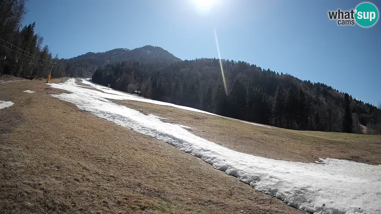 Esquí Kranjska Gora | Brsnina