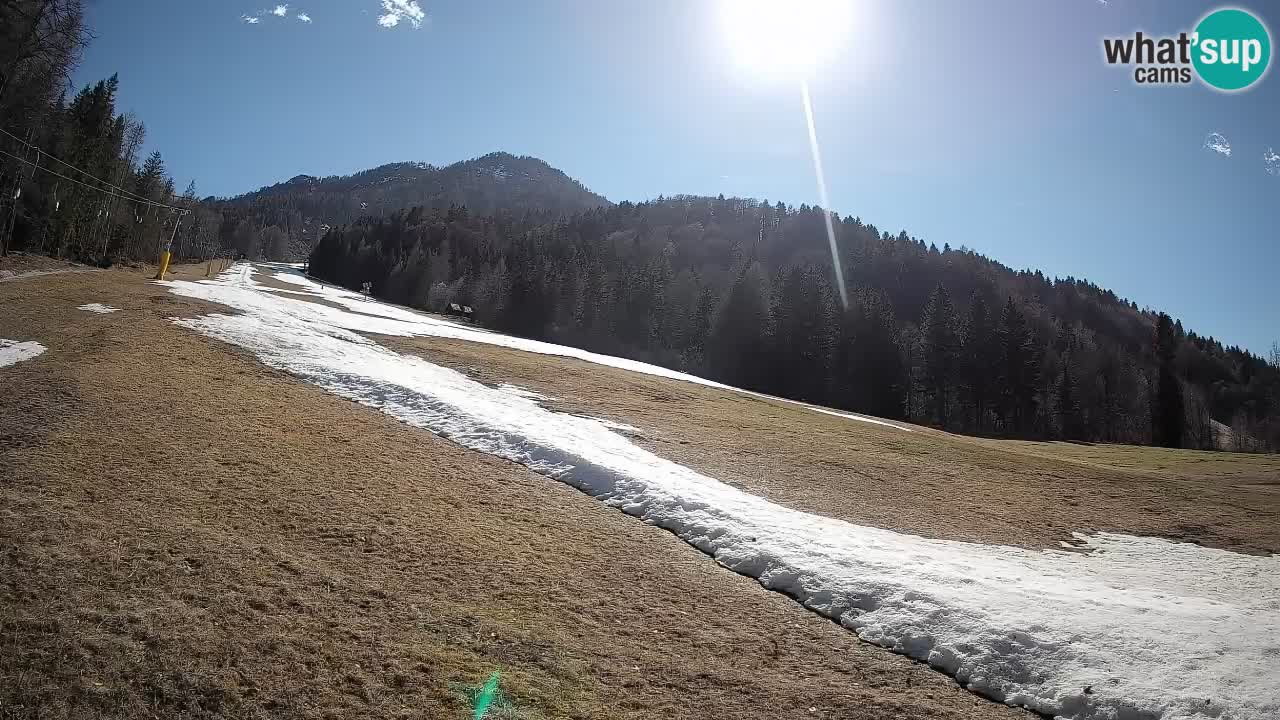 RTC Kranjska Gora | Brsnina