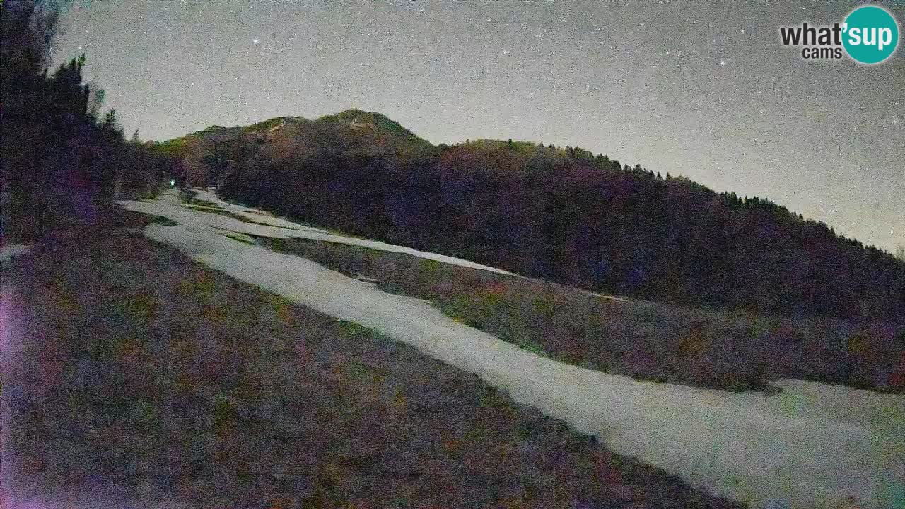 Ski Kranjska Gora | Brsnina