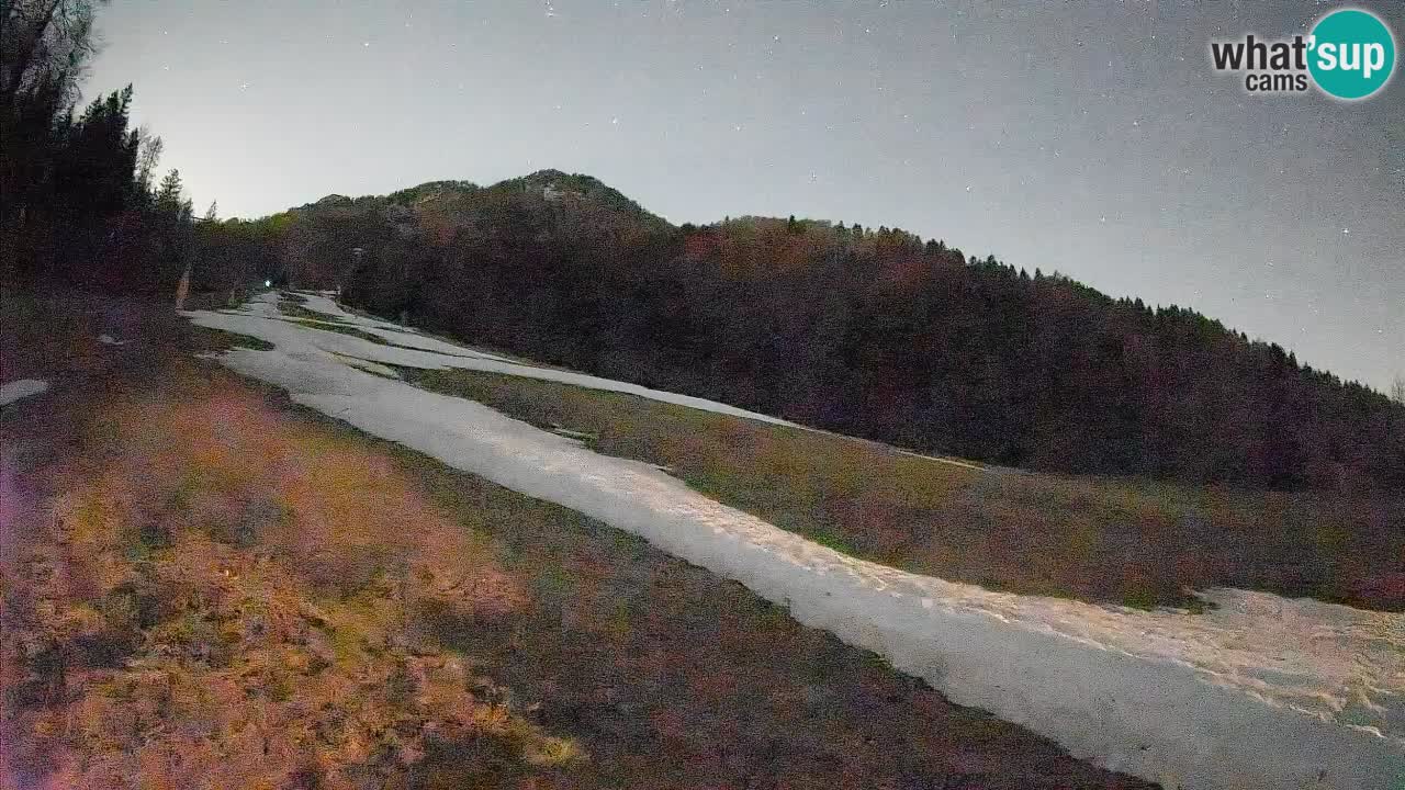 RTC Skigebiet Kranjska Gora | Brsnina