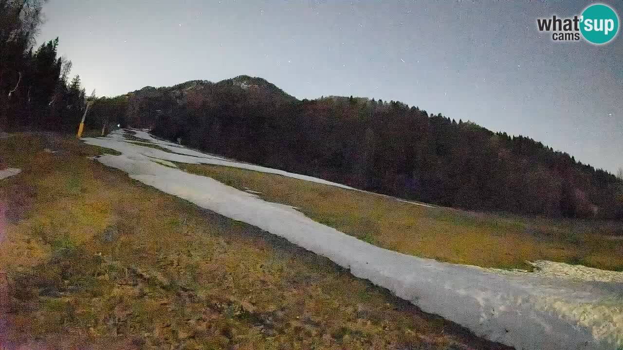 Ski Kranjska Gora | Brsnina