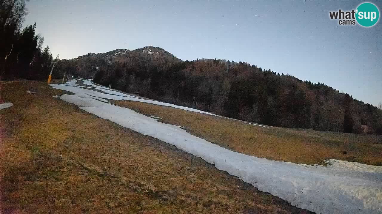 Ski Kranjska Gora | Brsnina