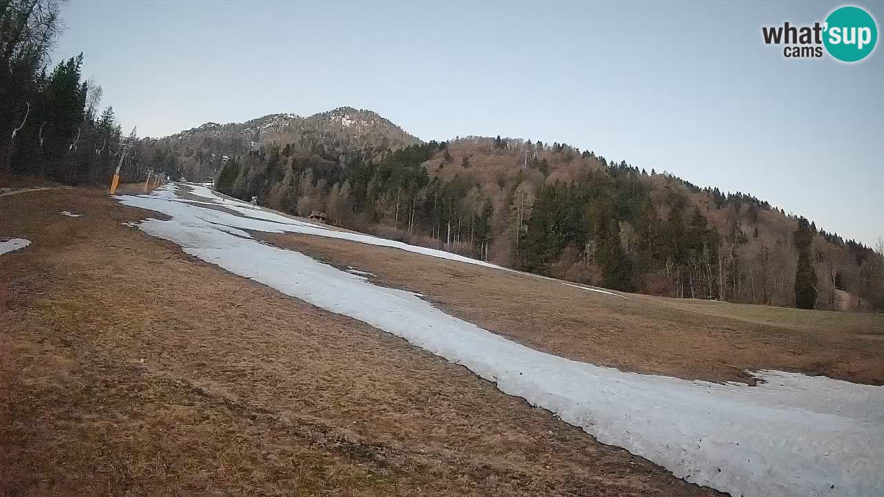 Ski Kranjska Gora | Brsnina