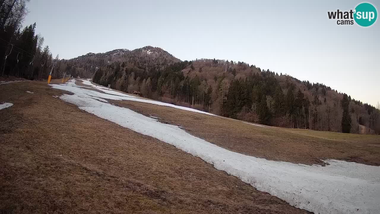 Comprensorio sciistico Kranjska Gora | Brsnina