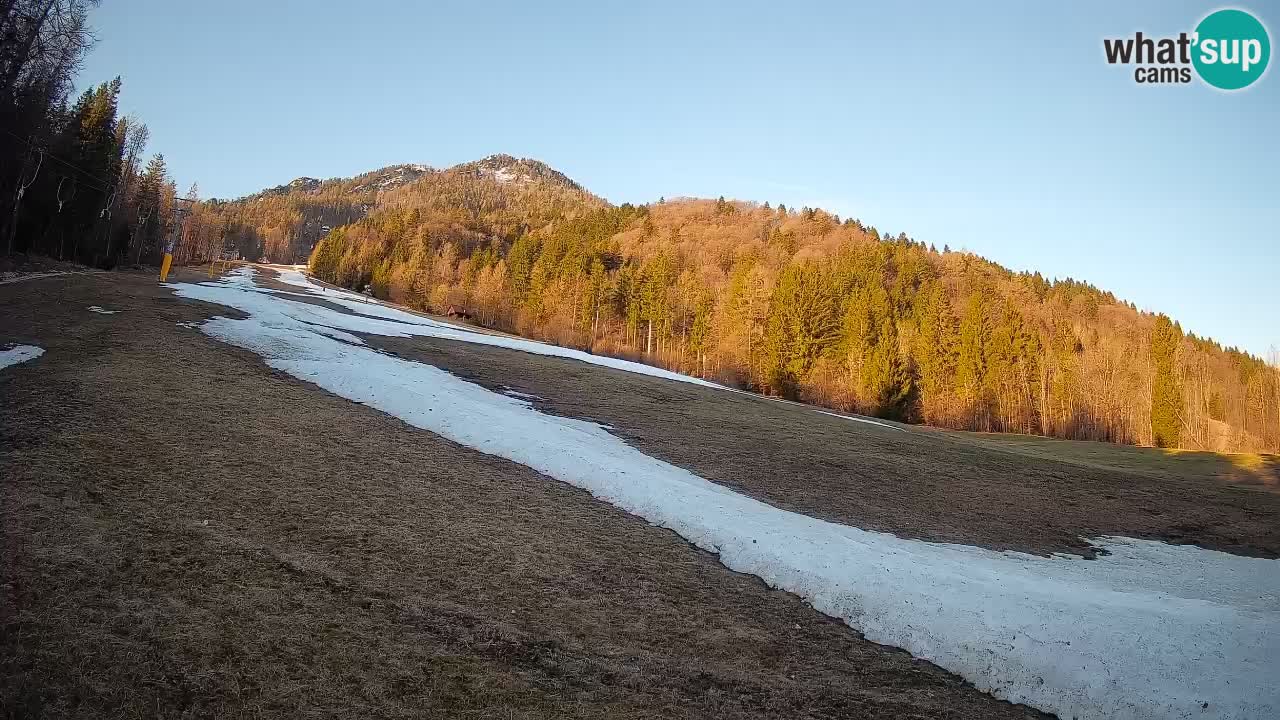 Kranjska Gora SKIJANJE | Brsnina