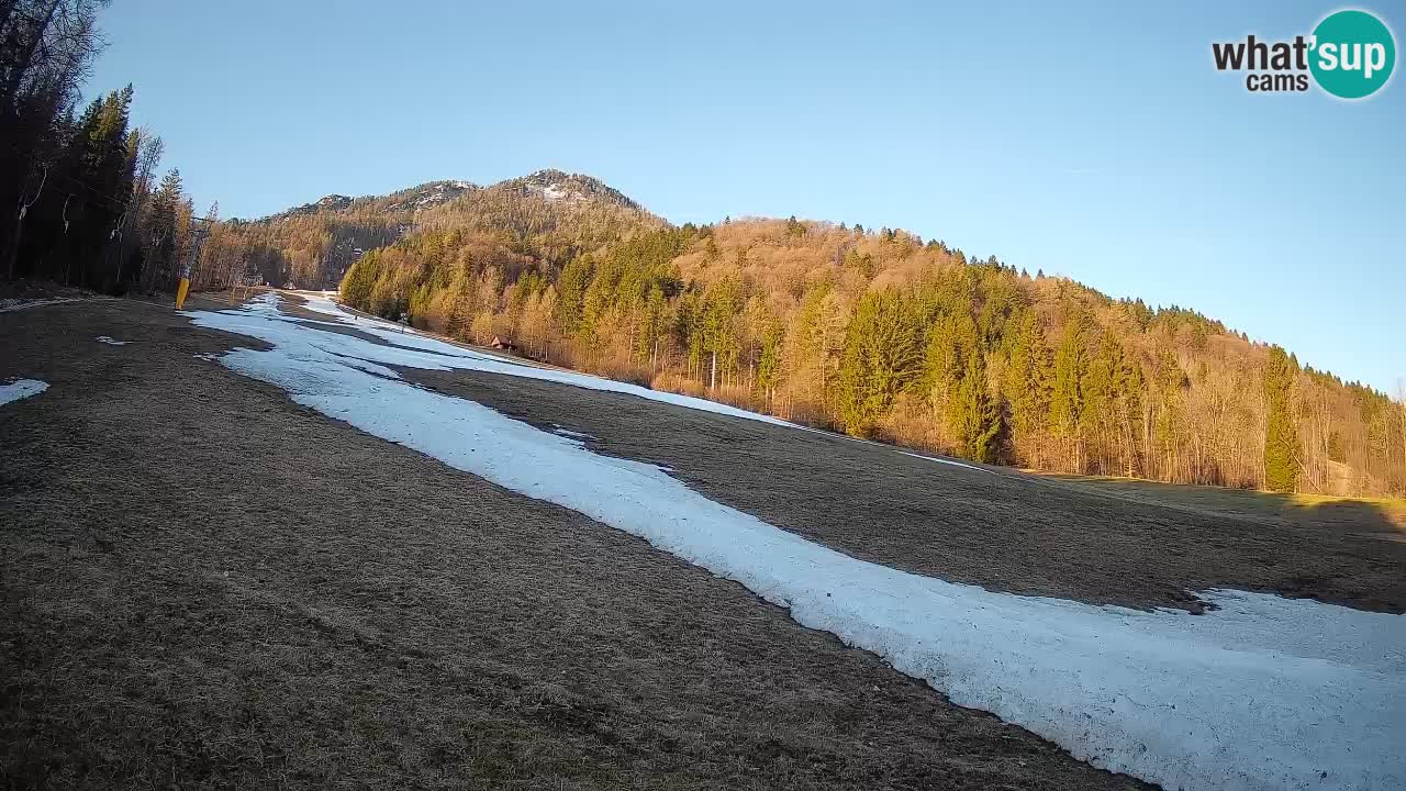 Ski Kranjska Gora | Brsnina