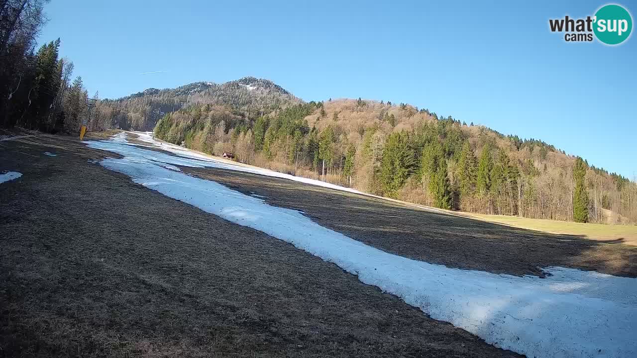 RTC Kranjska Gora | Brsnina