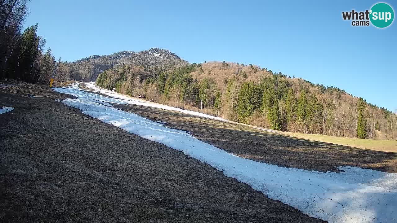 Ski Kranjska Gora | Brsnina