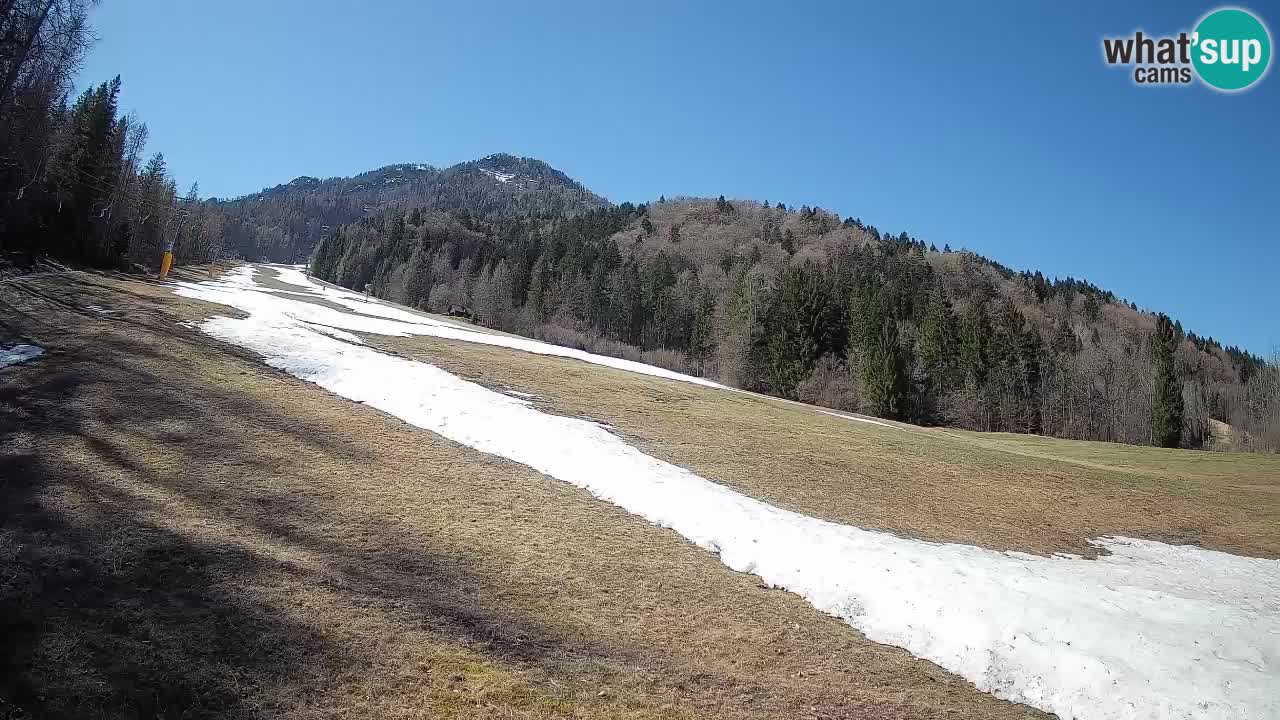Ski Kranjska Gora | Brsnina