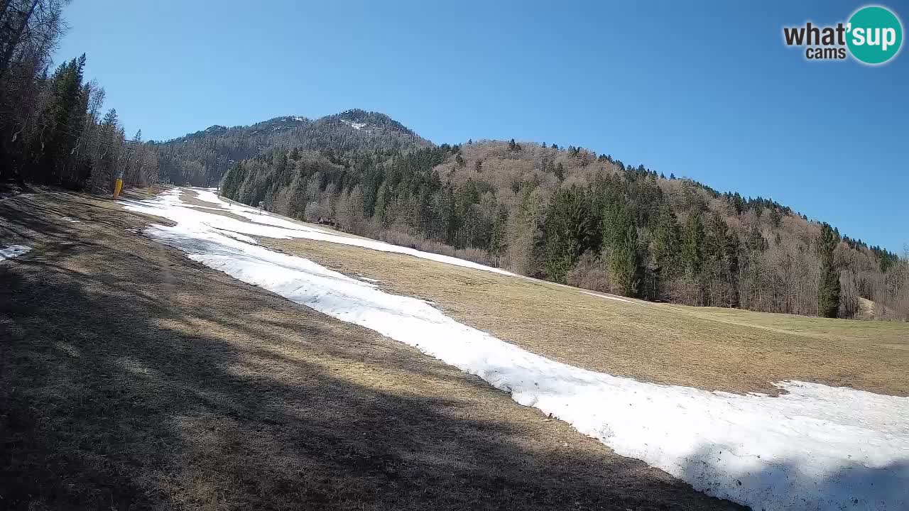 RTC Skigebiet Kranjska Gora | Brsnina