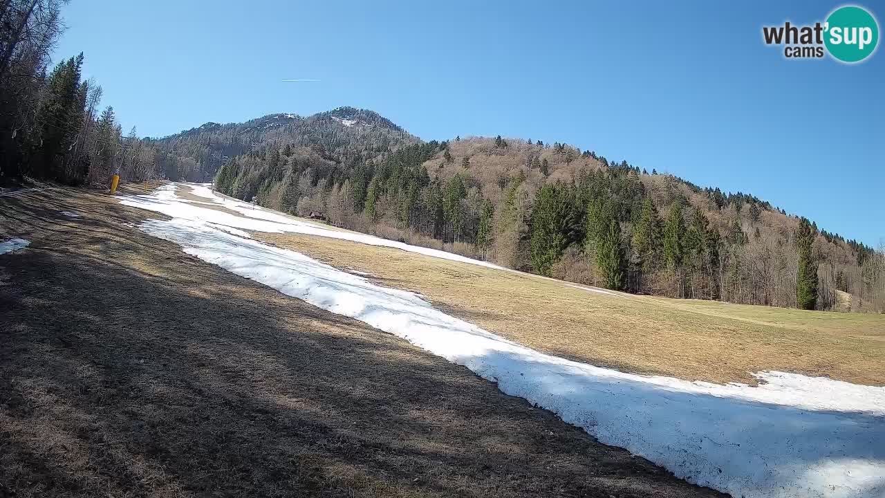 Ski Kranjska Gora | Brsnina