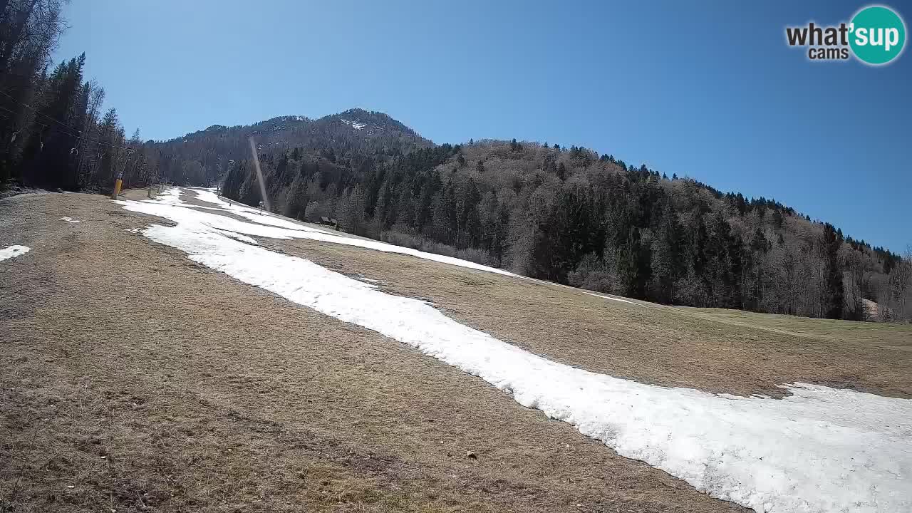 Kranjska Gora SKIJANJE | Brsnina