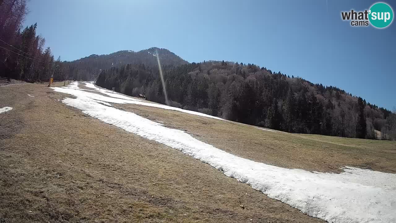 RTC Skigebiet Kranjska Gora | Brsnina