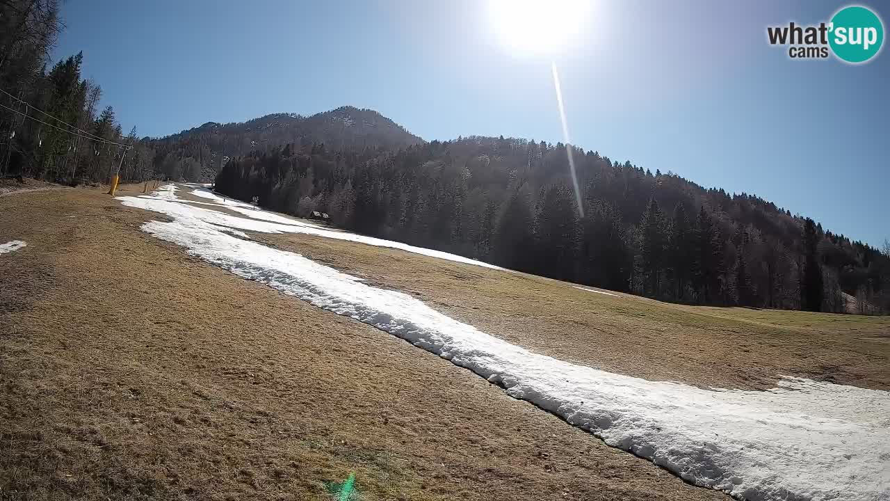 RTC Kranjska Gora | Brsnina