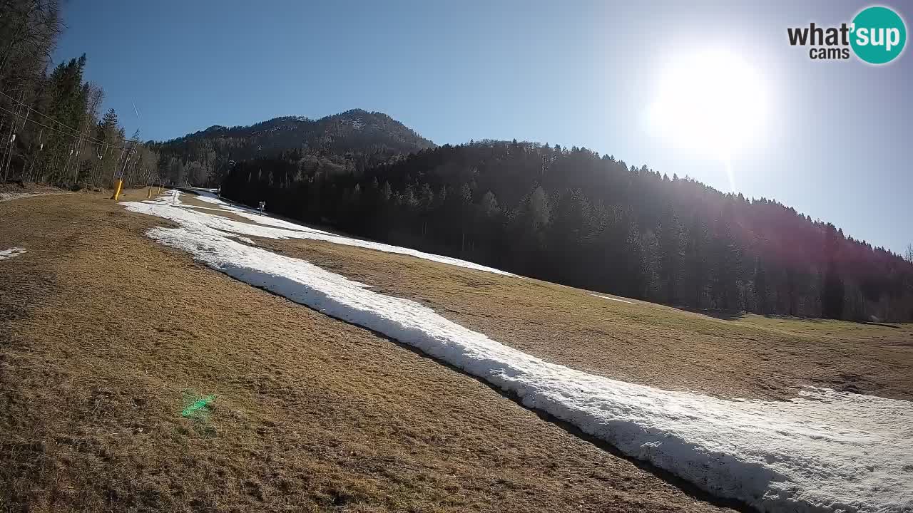 RTC Kranjska Gora | Brsnina