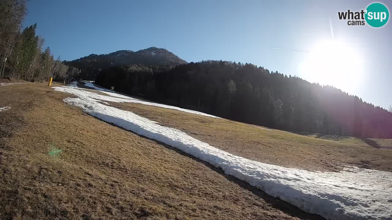 Kranjska Gora SKIJANJE | Brsnina