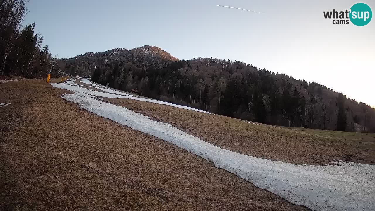 Kranjska Gora Station de ski | Brsnina