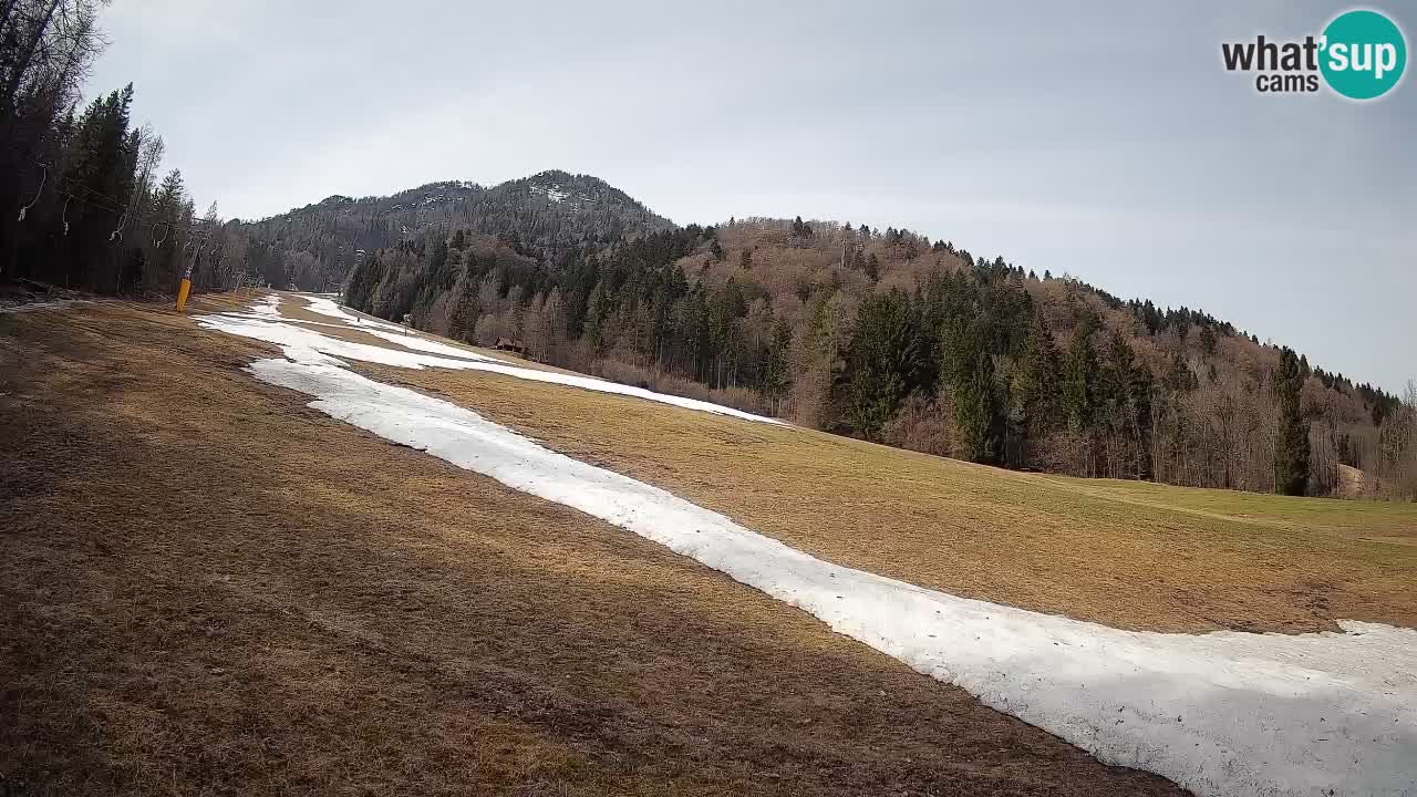 RTC Kranjska Gora | Brsnina
