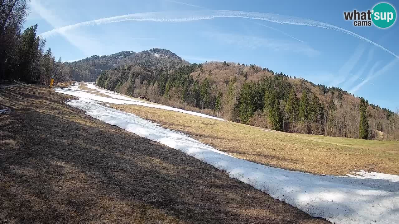 RTC Kranjska Gora | Brsnina