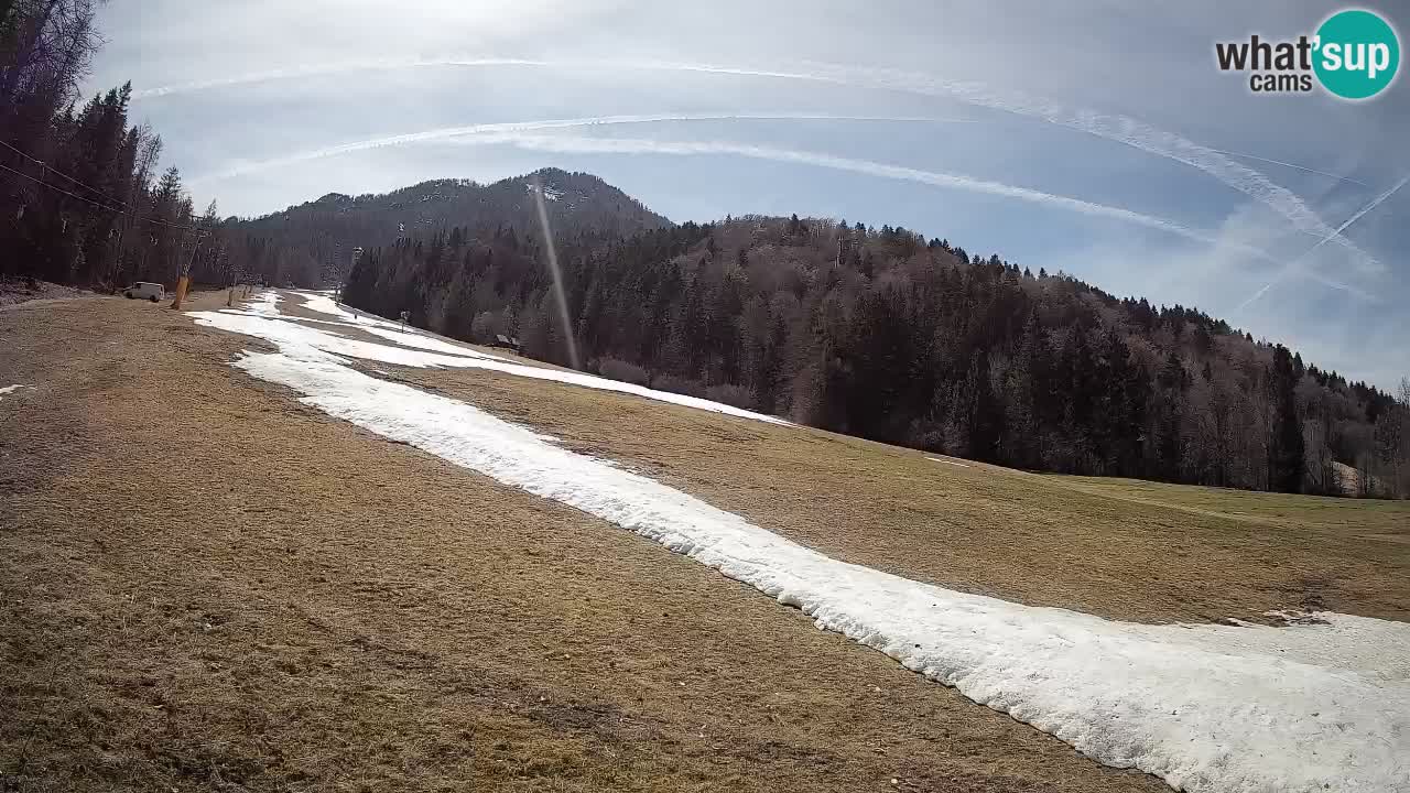 Kranjska Gora Station de ski | Brsnina