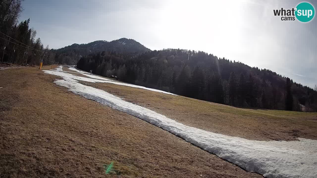 Comprensorio sciistico Kranjska Gora | Brsnina