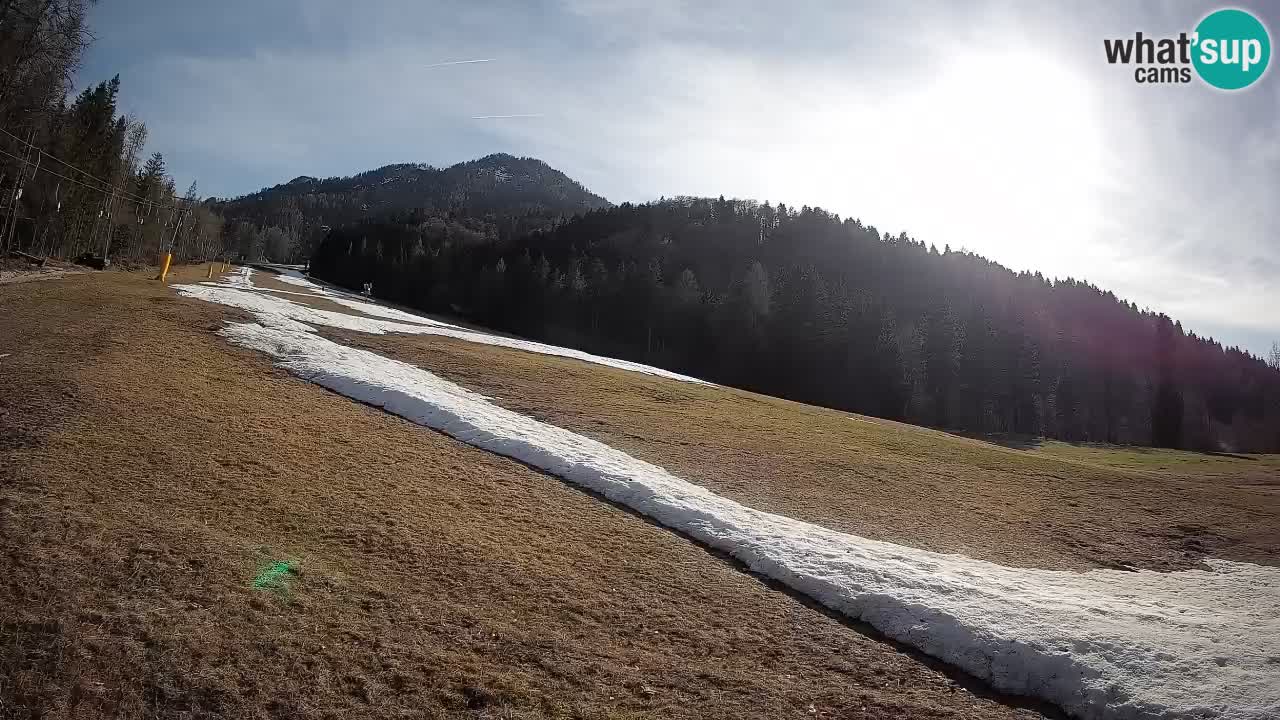 RTC Skigebiet Kranjska Gora | Brsnina