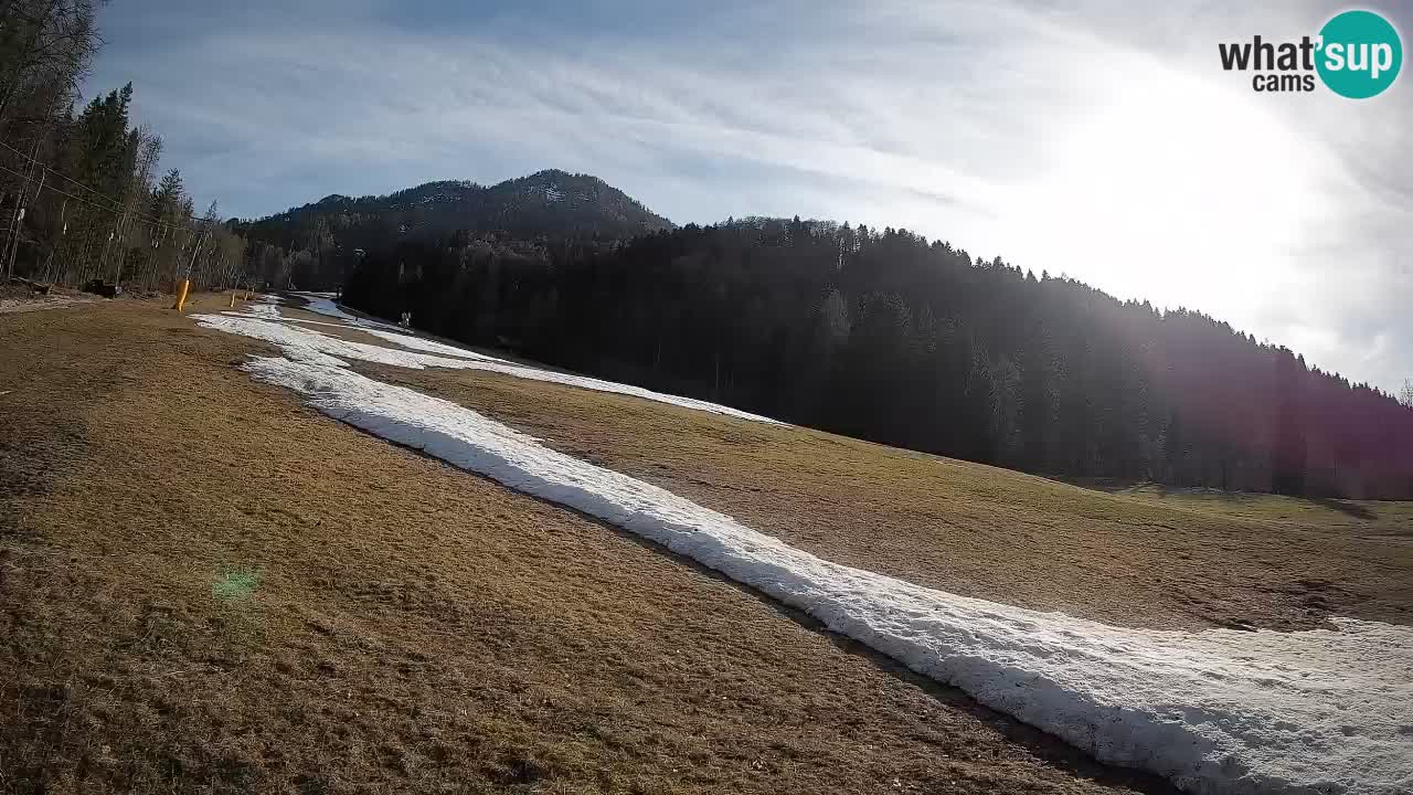 Kranjska Gora Station de ski | Brsnina