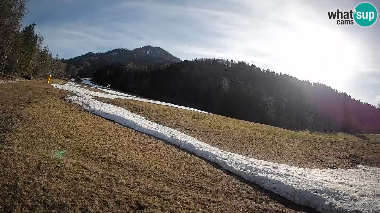 Comprensorio sciistico Kranjska Gora | Brsnina