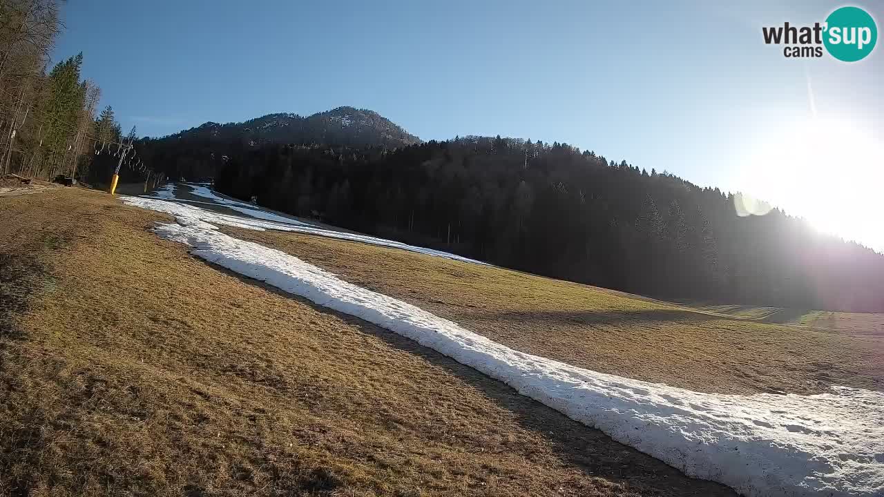 Kranjska Gora SKIJANJE | Brsnina