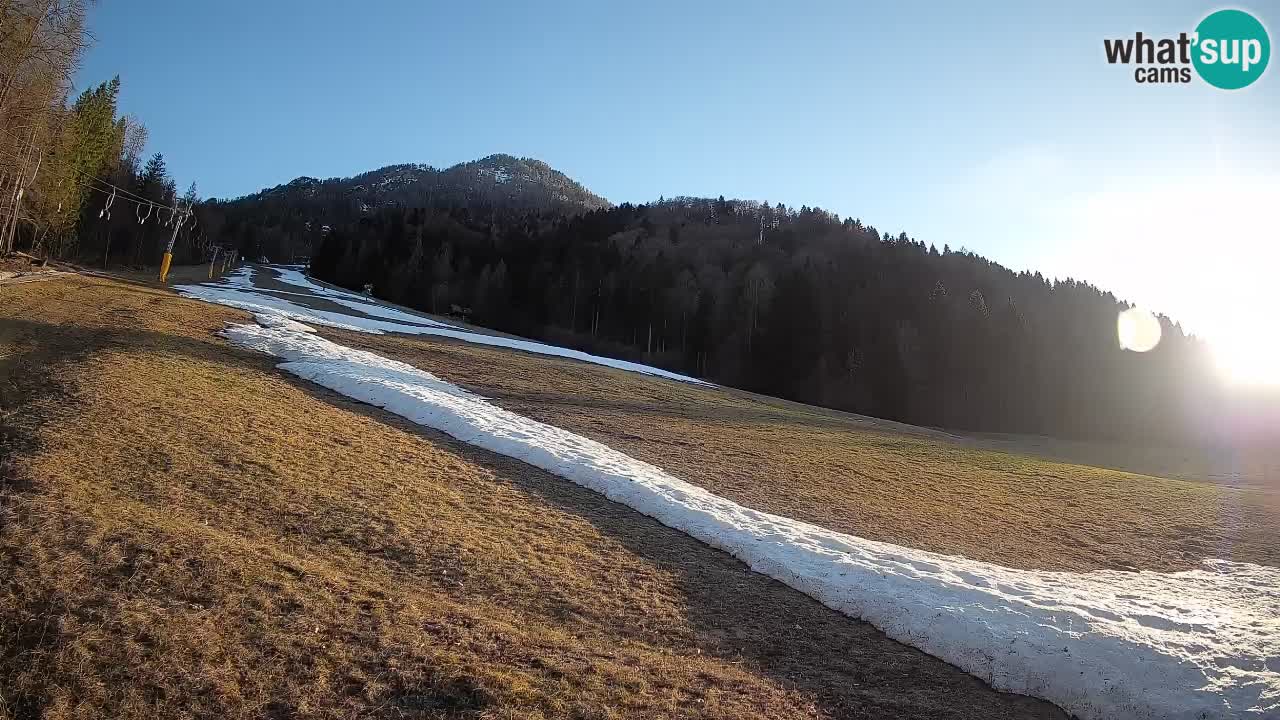 Kranjska Gora SKIJANJE | Brsnina