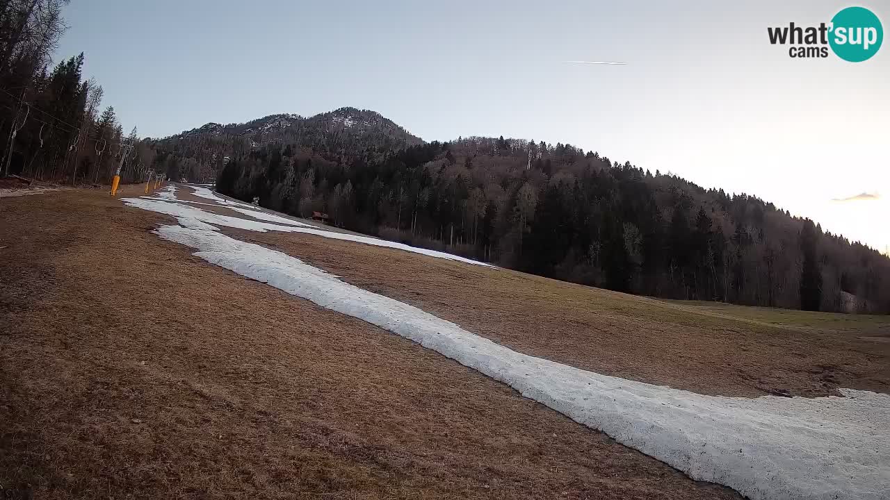 Kranjska Gora SKIJANJE | Brsnina